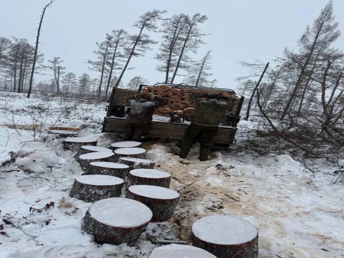 Хабаровский края