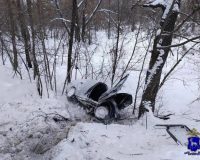 дтп с деревом