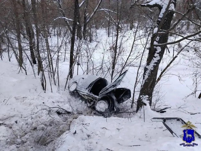 дтп с деревом