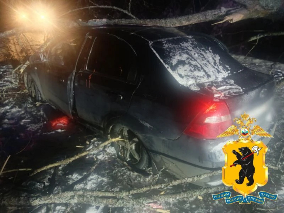 Под Рыбинском машина врезалась в дерево, упавшее на дорогу.