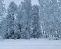 Почему 25 февраля нужно мыть полы и кормить черного кота рыбой?