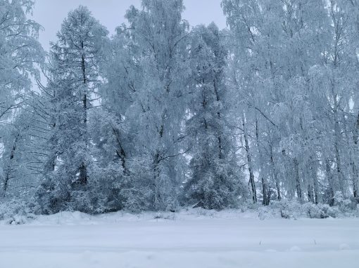 Почему 25 февраля нужно мыть полы и кормить черного кота рыбой?