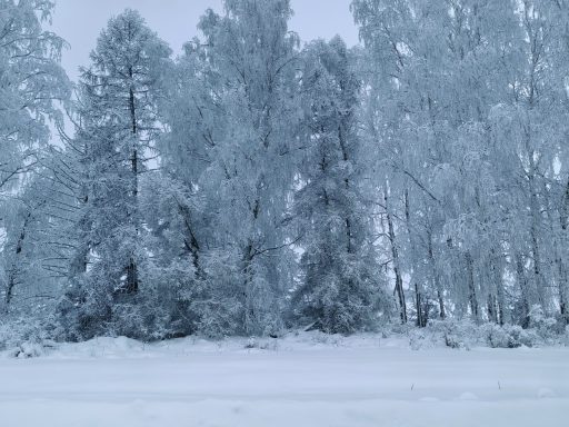 Почему 25 февраля нужно мыть полы и кормить черного кота рыбой?