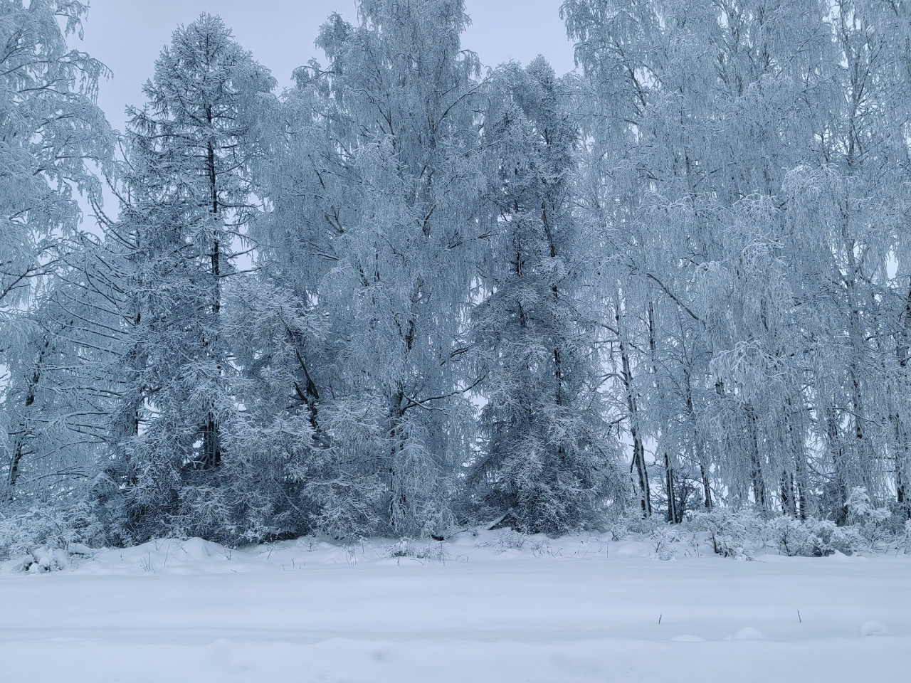 Почему 25 февраля нужно мыть полы и кормить черного кота рыбой?