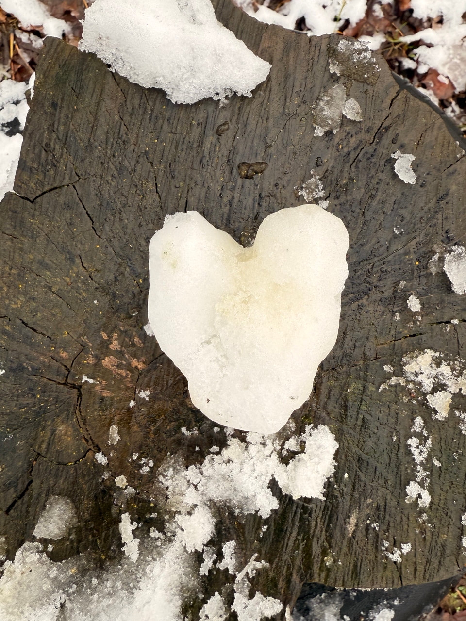 Переменная облачность и мокрый снег ожидаются в Ивановской области 27 февраля