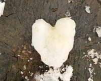 Жителей Ивановской области предупредили о гололеде и мокром снеге