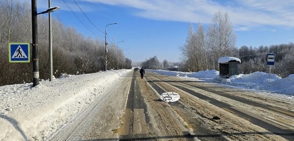 В Палехском районе водитель, насмерть сбивший пешехода, заключен под стражу
