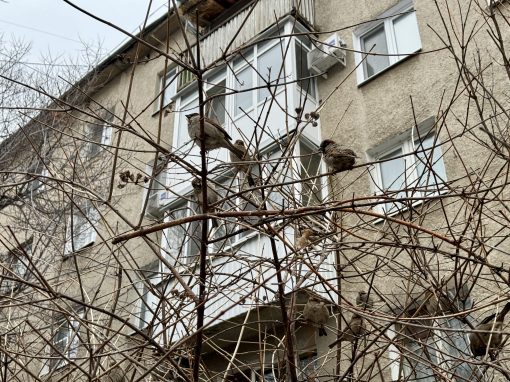 В Орске выпавшая с пятого этажа женщина отряхнулась и пошла домой