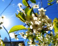 Солнечная погода пришла в Ивановскую область