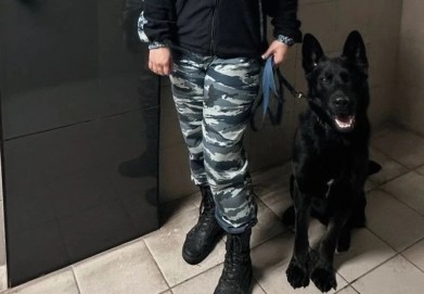 пропавшую девочку нашли кинологи