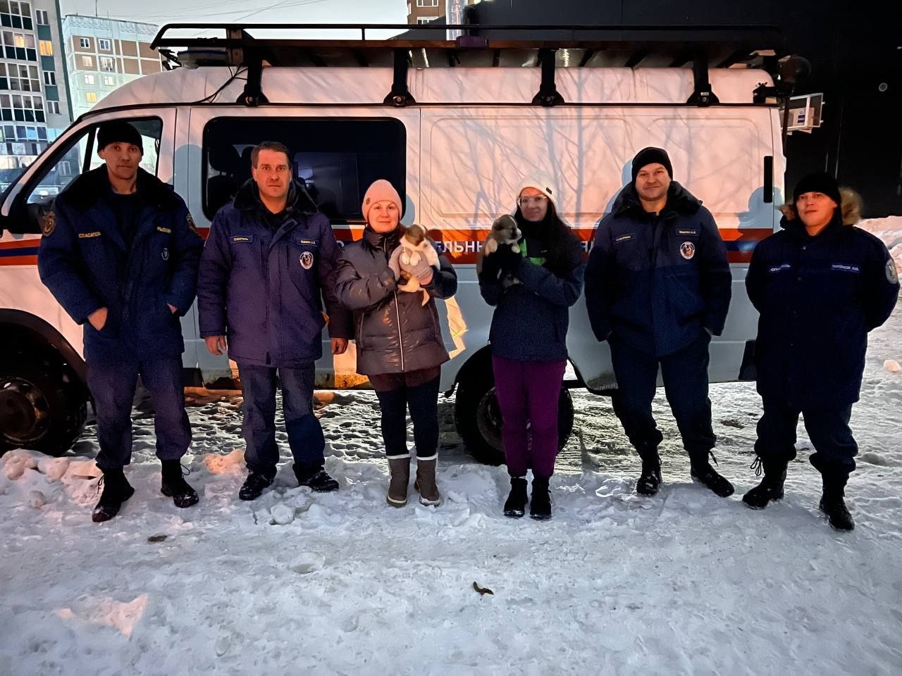 В Иванове спасатели пять часов вызволяли шестерых щенков из ловушки