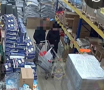 Сольчанка покупала гвозди за чужой счёт