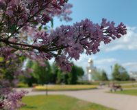 Синоптики пообещали жителям Ивановской области тёплую субботу