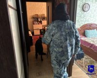 Пролетарка схватила за волосы сотрудницу полиции