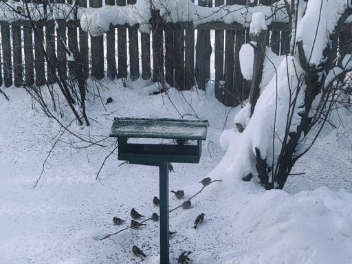 Почему 5 марта нужно выбрасывать старую обувь и нельзя стричь бороду?