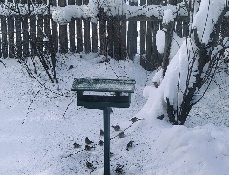 Почему 5 марта нужно выбрасывать старую обувь и нельзя стричь бороду?