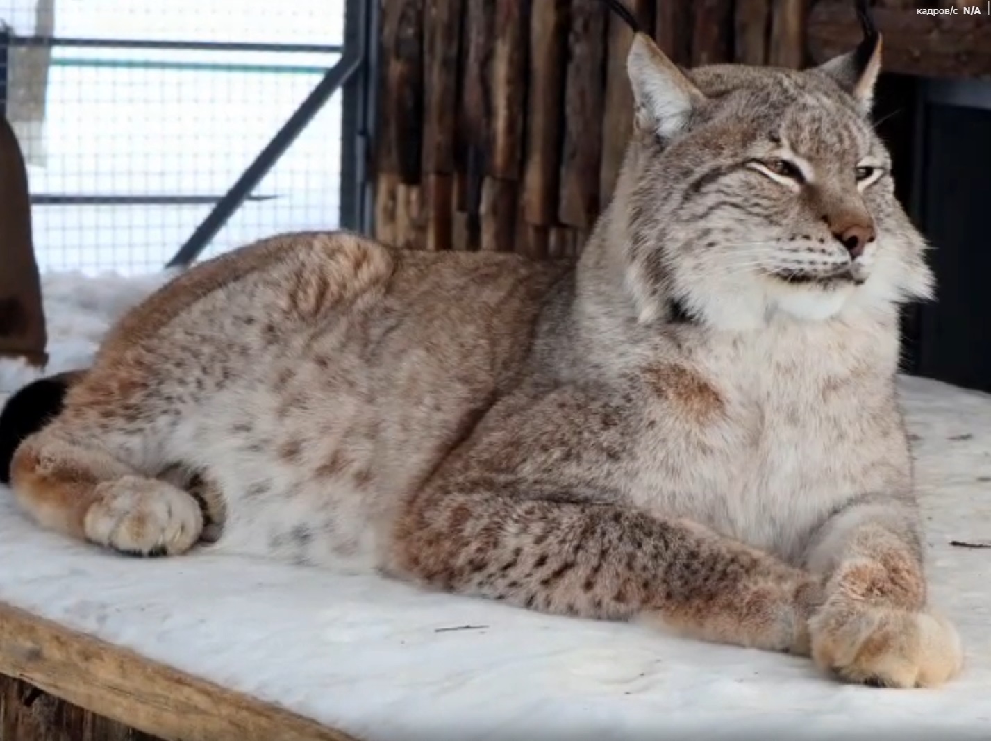 Ивановский зоопарк перешёл на весенний режим работы