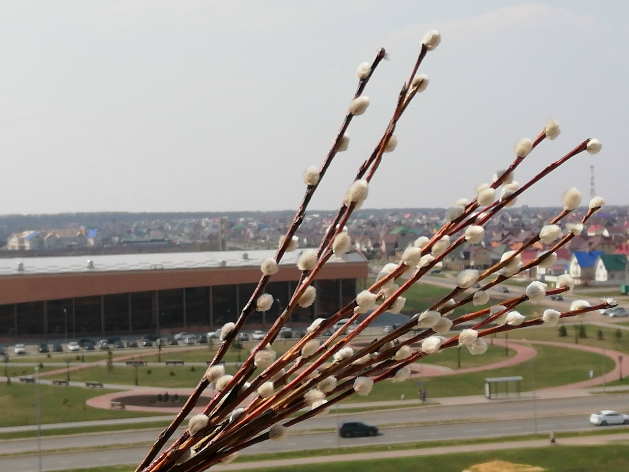 Почему воскресенье Вербное и почему в этот день нужно мириться?