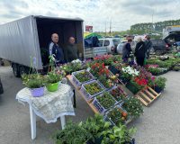 В Пензе пройдет большая весенняя ярмарка садовой флоры «Сезон уДачи»