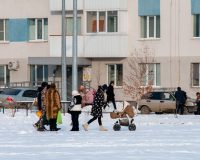 дети и взрослые
