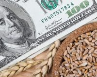 деньги, доллары