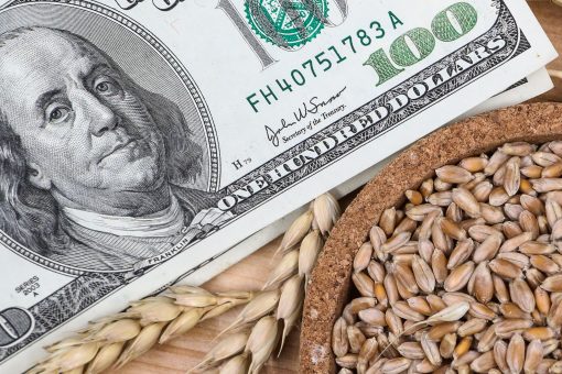 деньги, доллары