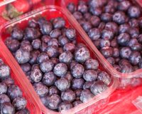 голубика в контейнерах