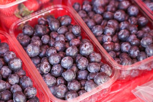 голубика в контейнерах