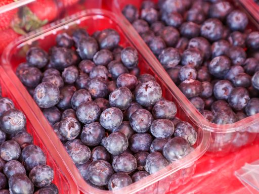 голубика в контейнерах