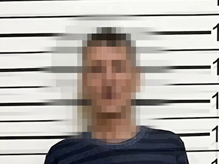 подозреваемый