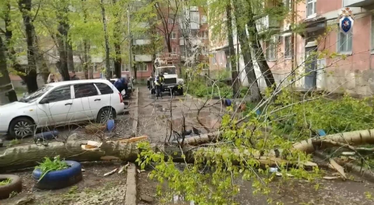 погиб под деревом