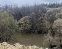 В Пензенской области водолазы подняли со дна пруда тело молодого рыбака