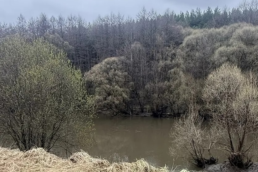 В Пензенской области водолазы подняли со дна пруда тело молодого рыбака