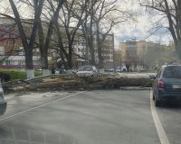 На Новгородчине шквал оставил без света более двух тысяч человек в двенадцати округах