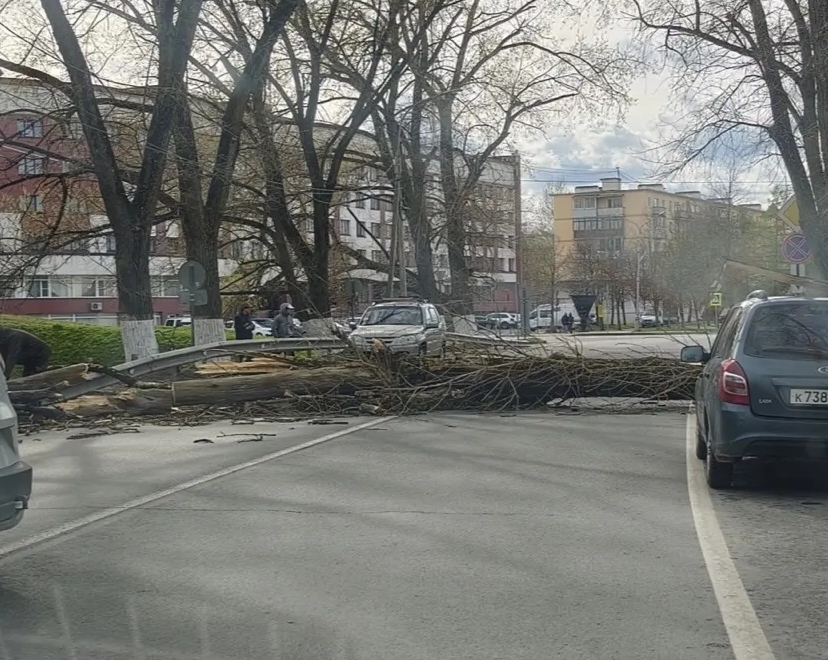 На Новгородчине шквал оставил без света более двух тысяч человек в двенадцати округах