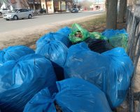 В Пензенской области пройдет традиционный Всероссийский субботник