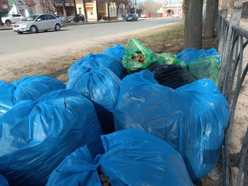 В Пензенской области пройдет традиционный Всероссийский субботник