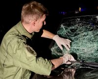 На месте страшного ДТП под Новгородом восстановлено освещение и установлены дорожные знаки