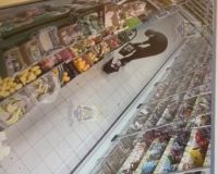 В Малой Вишере клиент зашёл в магазин через разбитое им окно
