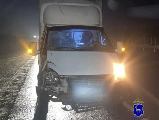 насмерть сбил