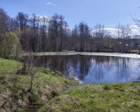 Очень переменная облачность: на выходных в Сибири жара, а в Центре - дожди