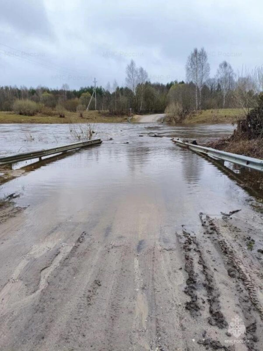 В Ивановской области 30 апреля подтопило мост из-за подъема воды в реке Нерль