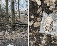 В Пензе наркодилер с женой и ребёнком перевозил полтора кило наркотиков
