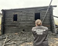 В новгородской деревне Липье при пожаре погибли добропорядочная мать и пьющий сын