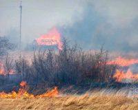 В Новгородской области введен особый противопожарный режим