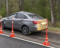 Лось попал в аварию в Новгородской области