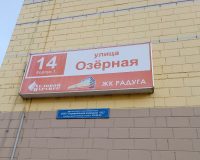 Из-за котят, и не только…