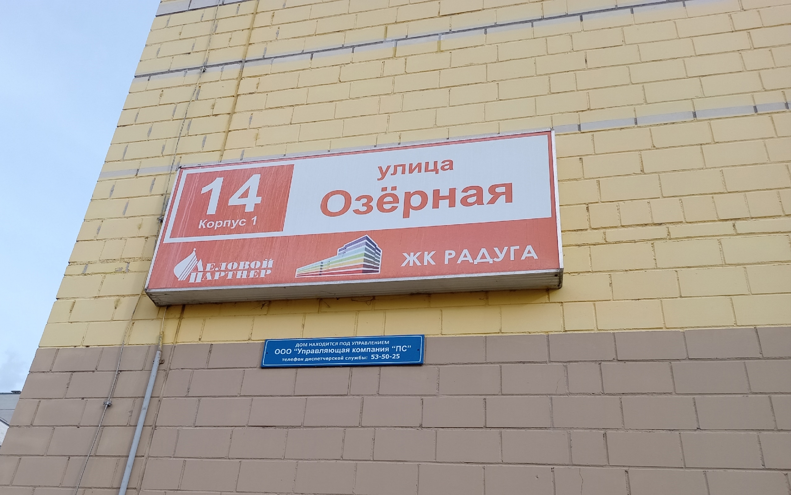 Из-за котят, и не только…