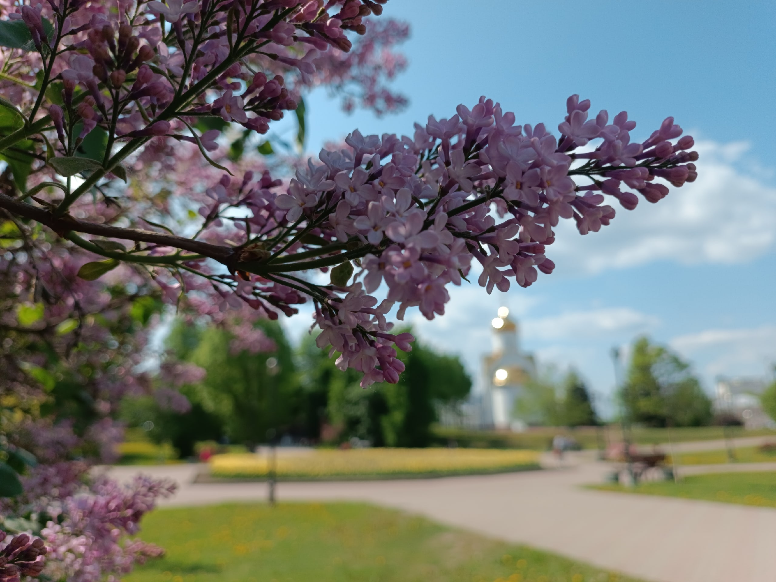 1 апреля в Ивановской области потеплеет до +19 градусов