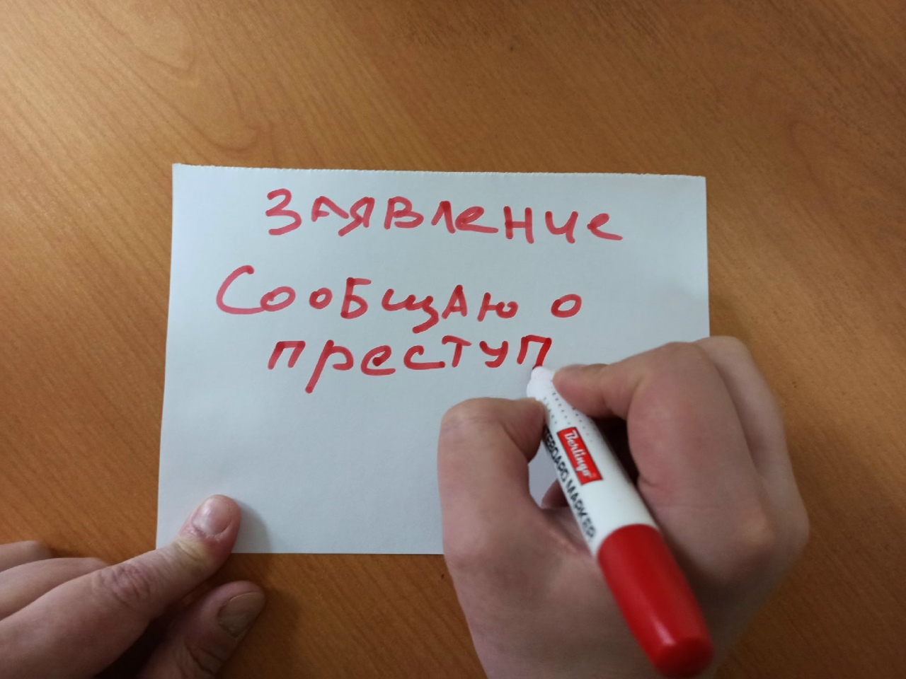 Пензячка избила соседа палкой за его замечание не кормить бездомных собак